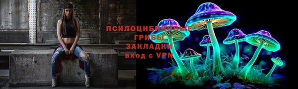 эйфоретик Алзамай