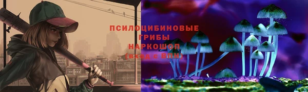 spice Абинск