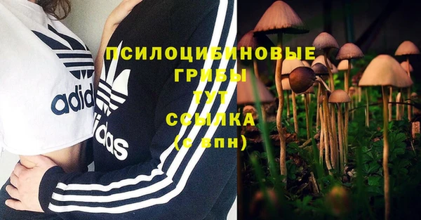 spice Абинск