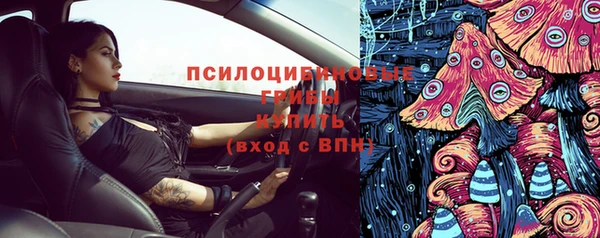 spice Абинск