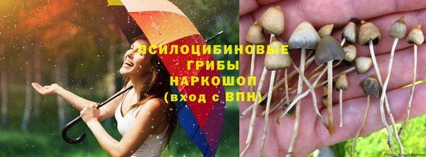 spice Абинск