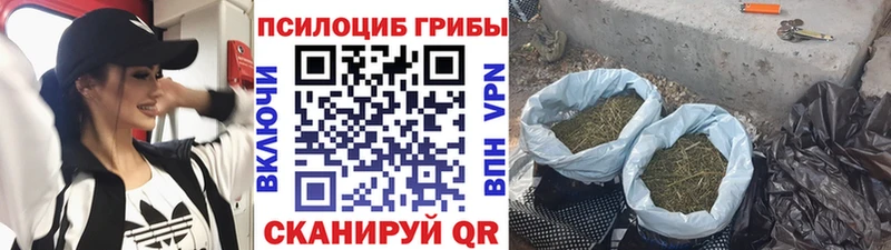 Псилоцибиновые грибы ЛСД наркошоп Верхоянск